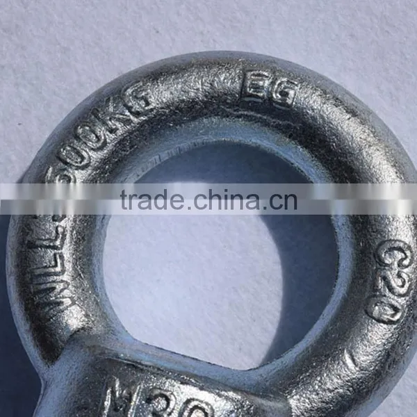 Hardware C15E Steel Forged Galvanized Din582 Lifting Anchor Bolt and Nut photo-5