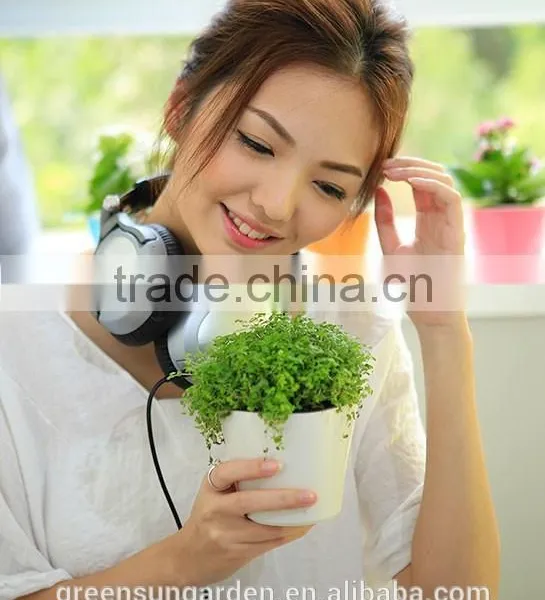 High Quality Colorful Small Mini Decorative Plastic Flowers Pot Home and Office Decoration photo-3