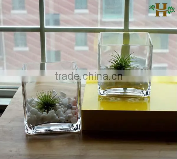 Cheap Clear Cube Glass Vases Wholesale photo-4