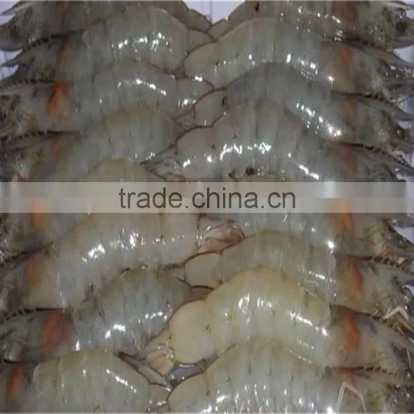 Frozen Vannamei Shrimp