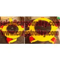 Moving Skates Application and Details photo-3