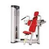 Triceps Press