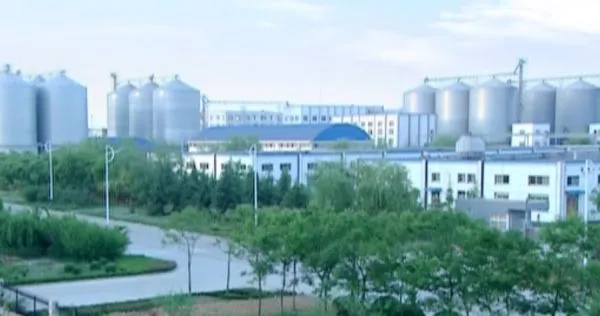 Golden Grain Group Limited company overview - view 1