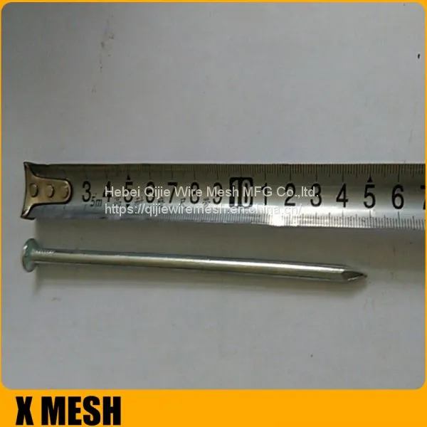 40D 5inches Length Galvanized Common Wire Nails photo-4