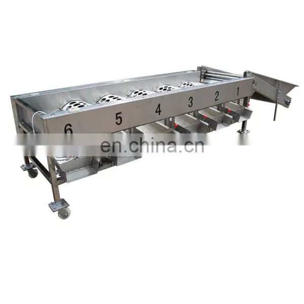 Commercial Apple Fruit Grader Apple Sorting Machine photo-4