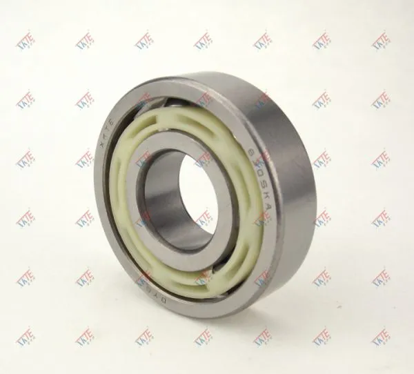 Chile Professional Production TN KA Cage Bearing 6306 T/KA C3 photo-2
