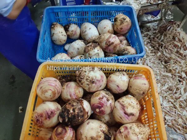 Frozen Taro,Frozen Fried Taro,HACCP,ISO22000,BRC,HALAL,KOSHER photo-5
