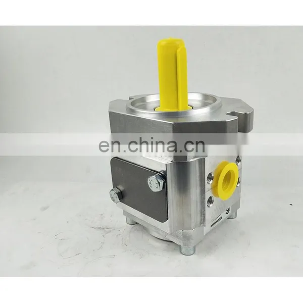 Eckerle Hydraulic Pump Oil Pump EIPC5 Series Gear Pump for Injection Molding Machine EIPC5-080RA23-10 photo-3