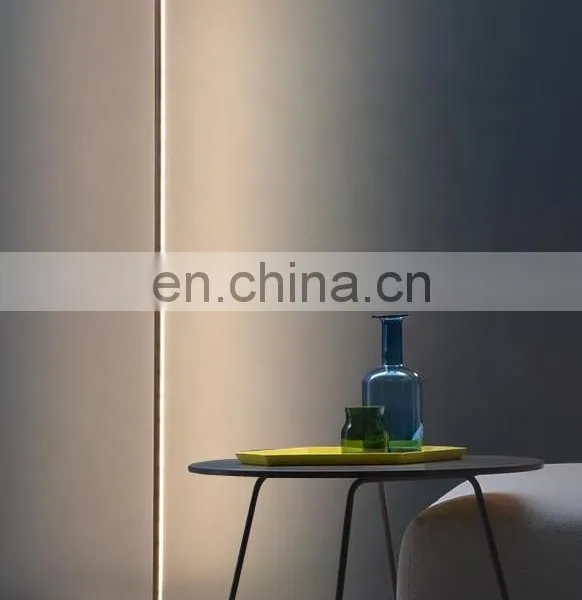 Interior Modern Metal Base 24W LED Floor Standing Lamp for Home Decorations photo-4