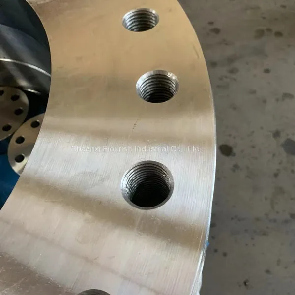 Customized Forged Carbon Steel Flat Face Flange With Non Passing Thread As per the Drwing photo-2