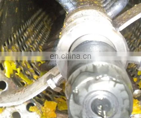 Shanghai Genyond Mango Processing Machine for Dry Chips photo-2