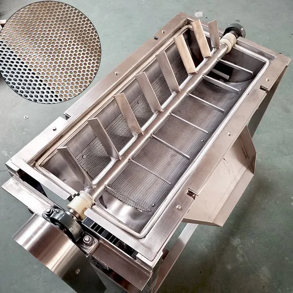 Multifunctional Dual-Track Fruit and Vegetable Pulper Machine photo-3