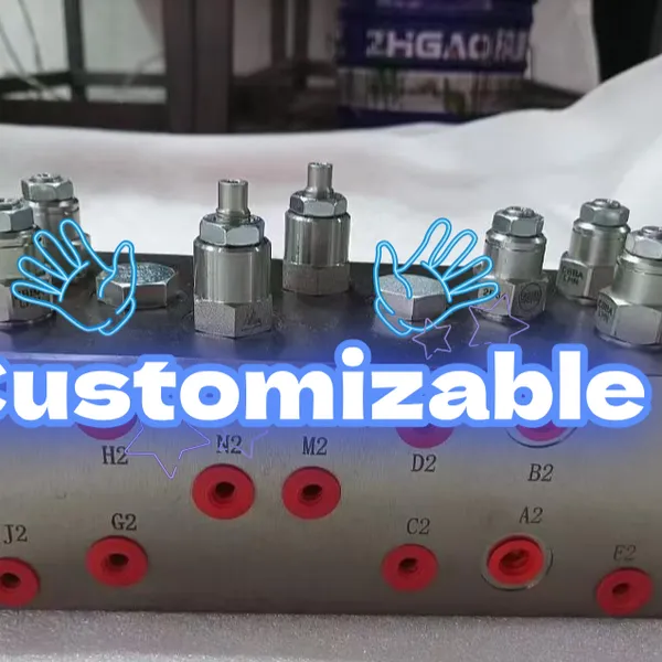 DSCHXHN Directional Valve, 3-Position 4-Way Shuttle Valve photo-5