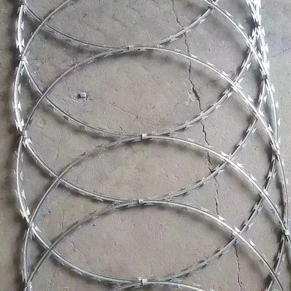 Wholesale Hot Dip Galvanized Razor Barbed Wire Coils for Farm and Border Fence photo-4