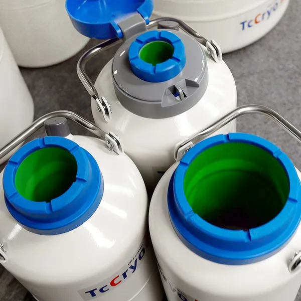 Togo 3L Liquid Nitrogen Tank for Cell Storage Price Semen Tank for Sale TcCryo photo-4