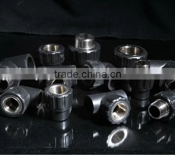 High Quality HDPE Pipe Fitting Female and Male Union photo-2