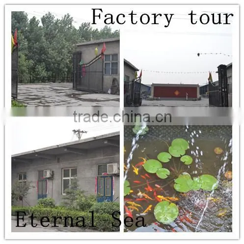 Vietnam Hot Sales Silicon Carbide 65 Anyang Manufacturer Eternal Sea photo-5