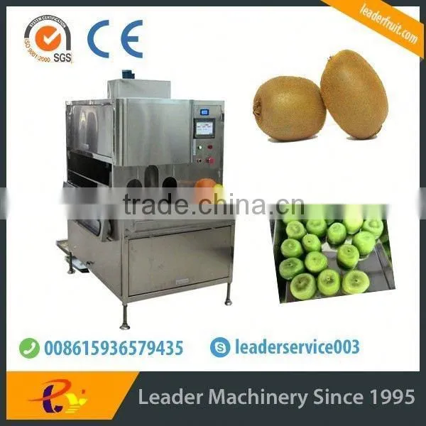 Leader Low Price Kiwi Fruit Washing and Peeler Machine photo-3