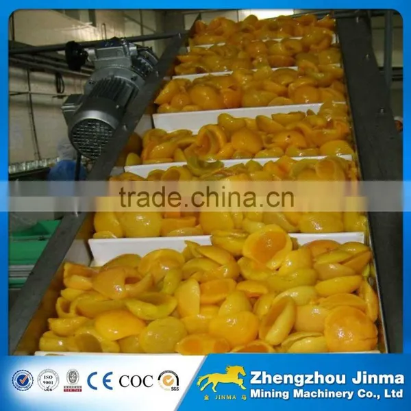 Stainless Steel Fruit Belt Conveyor Price photo-4