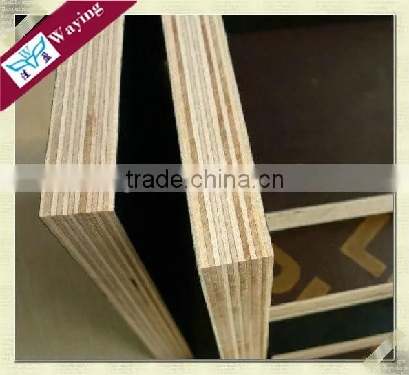 Commercial Plywood 8feet x 4feet x 12mm photo-6