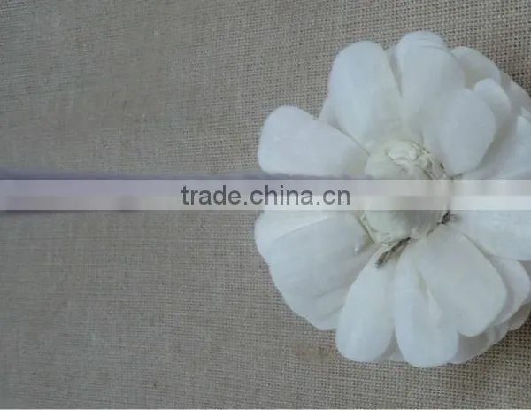 Sola Flower photo-2