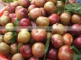 Compote Plumps in Syrup A10 Tin (3100 Mll x 06 Tins) photo-2
