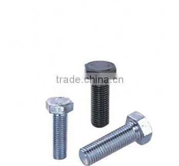 Screw
