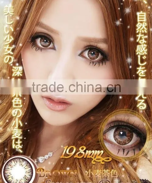 Korean 1 Year 3 Tone Violet Baby Colored Contact Lenses Wholesale photo-4