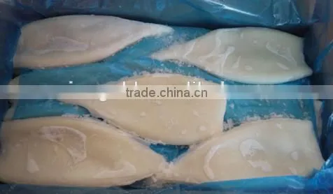 Whole Frozen Squid Tube U5,U7,U10-U20 photo-6