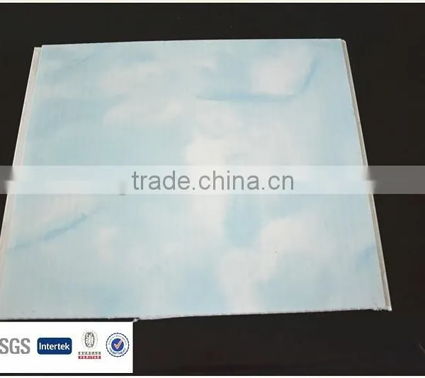20cm*8mm Wall Panels From Zhejiang Haining photo-5