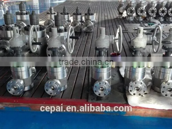 Globe Valve/API6A Globe Valve/Forged Gate Valve/Cameron Valve photo-5