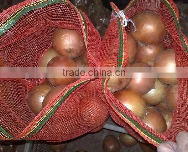 Fresh Yellow Onion(in Low Price)