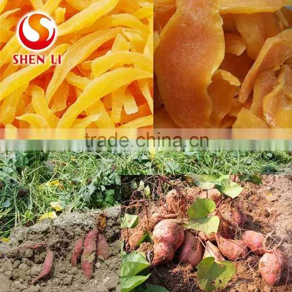 Ready to Eat Potatos Snacks Natural Sweet and Healthy Snacks photo-5