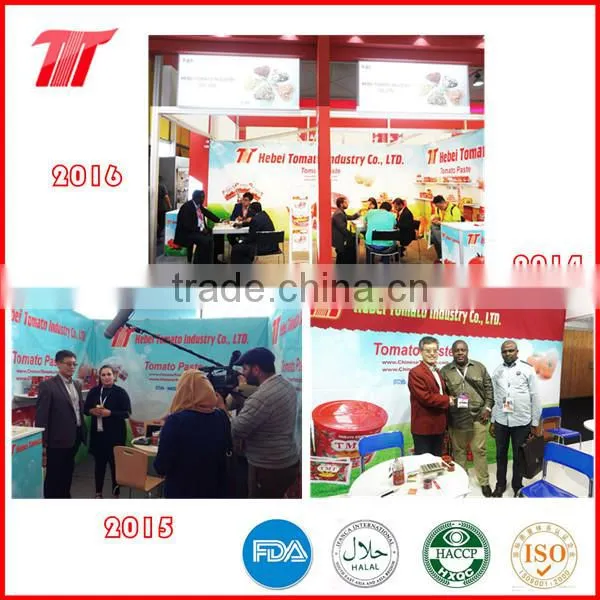 70g Tomato Paste of VEGO Brand Packing in Sachet photo-6
