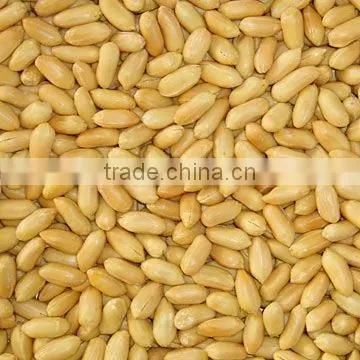 Fried Peanuts
