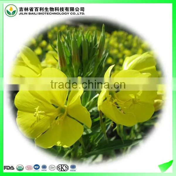 Factory Direct Sale Organic Evening Primrose Oil(EPO) Virgin photo-2