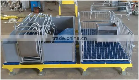 Sow Gestation Pen As Pig Farm Equipment photo-5