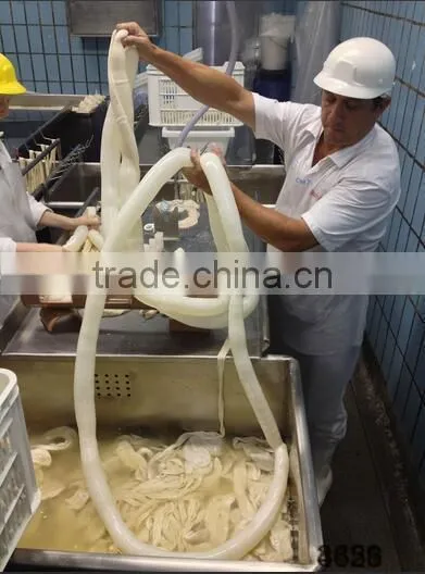 Sheep Hog Casing Nylon Ham Sausage Casing Sausage Casing photo-4