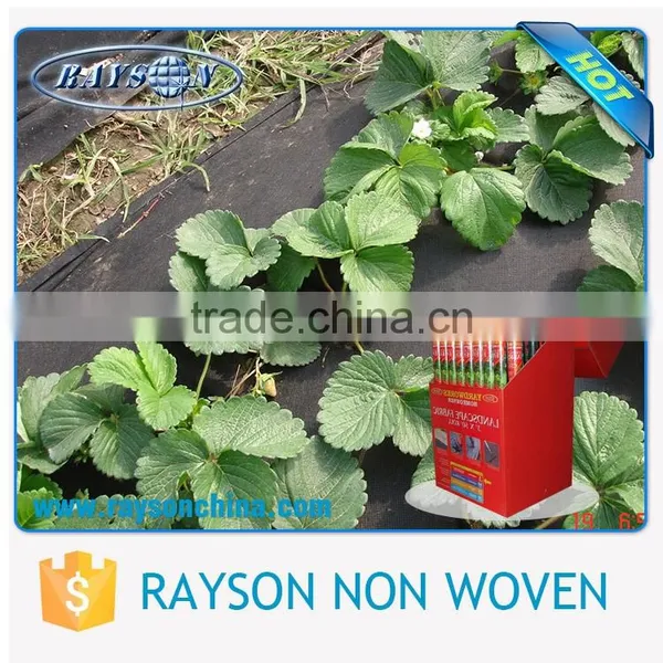 Safe and Sound Packing Shenzhen Agricultural Products photo-2