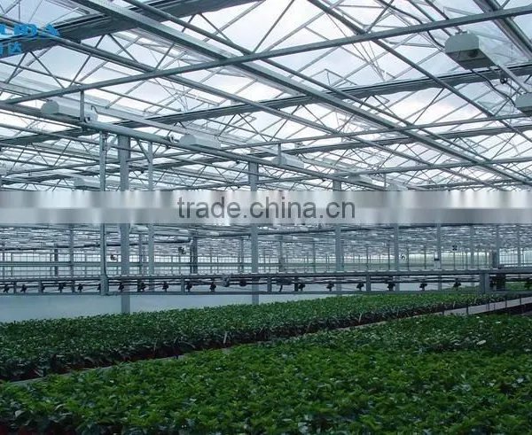 Chengdu BaoLiDa Low Price 20 Micron Polythene Greenhouse pe Film Greenhouse photo-6
