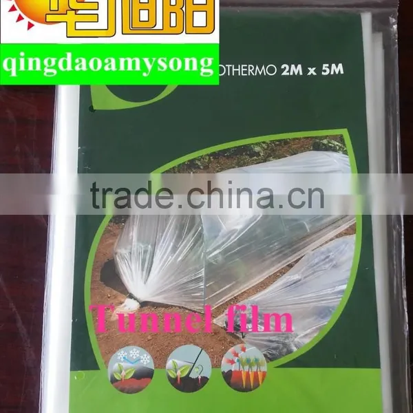PE Agricultural Plastic Greenhouses Film Kit Tunnel for Vegetable Used in Garden photo-2