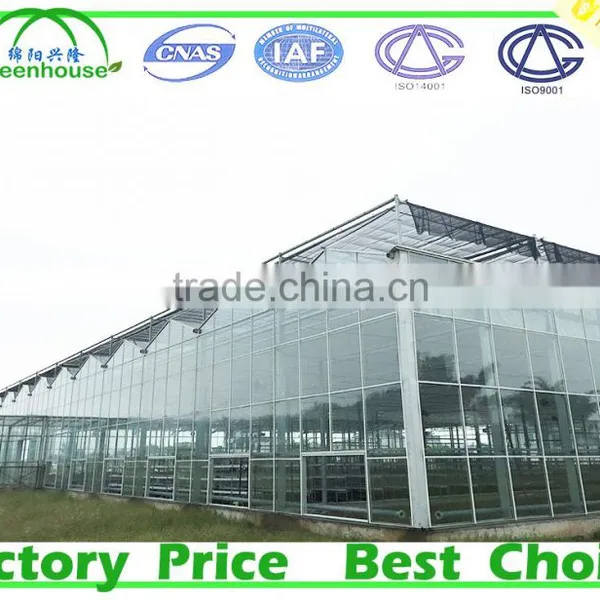 Large Size and Glass Cover Material Low Cost Greenhouse photo-2
