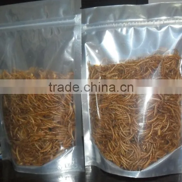 Golden Yellow Mealworm, Wholesale Wild Bird Food Mealworm photo-2