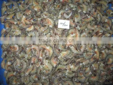 Frozen HLSO Karikkadi Shrimps photo-2