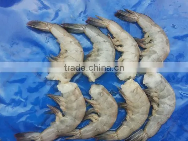 Vannamei Shrimp photo-2