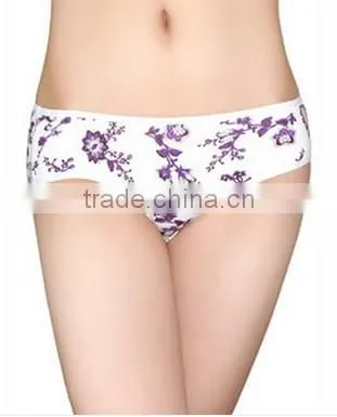 Briefs Nylon Panties Underwear Sexy Dress Women in Silk Satin Fine Lingerie
