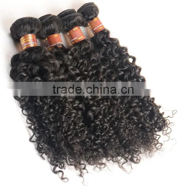 7A Grade Unprocessed Virgin Malaysian Curly Hair photo-3