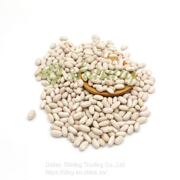 White Kidney Beans Bashake Long Shape photo-5