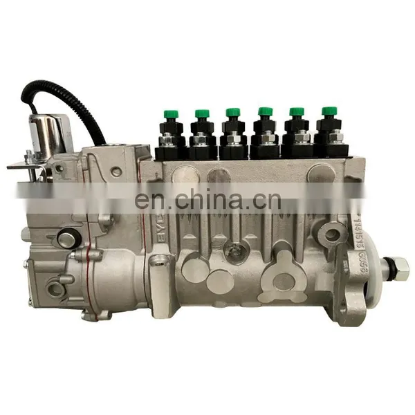 P/erkins 1006 Engine Injection Pump 10 403 576 112 10403576112 With ASIMCO Brand,CPES6PB110D120RS3162 Pump photo-2