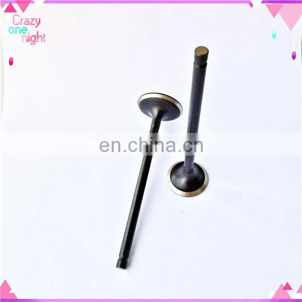 Coach Gasoline Inlet and Exhaust Engine Valve for Tata Indigo Marina photo-3